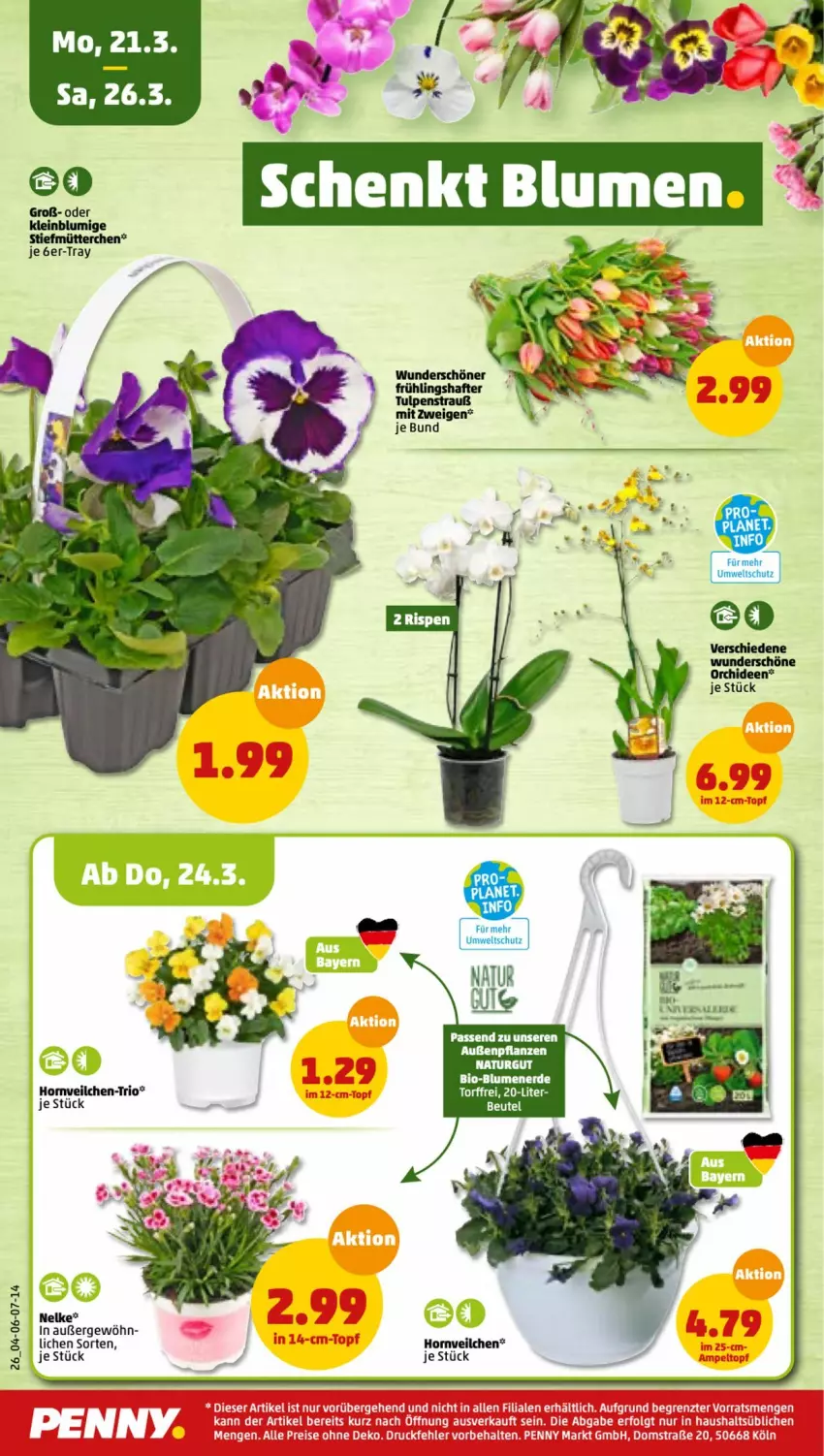 Aktueller Prospekt Penny - Prospekte - von 21.03 bis 26.03.2022 - strona 26 - produkty: beutel, bio, blume, blumen, blumenerde, eier, eis, erde, natur, orchidee, orchideen, pflanze, pflanzen, tee, Ti, topf, ZTE