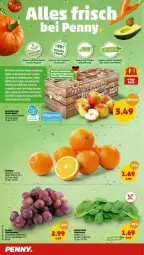 Gazetka promocyjna Penny - Prospekte - Gazetka - ważna od 26.03 do 26.03.2022 - strona 4 - produkty: beutel, ente, korb, orange, orangen, Ti