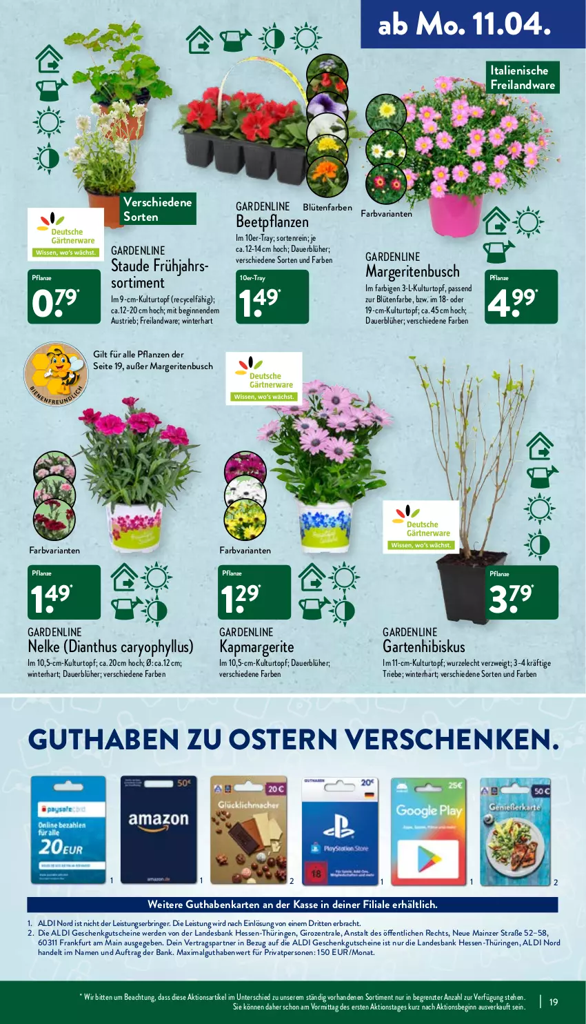 Aktueller Prospekt Aldi Nord - Aldi-Aktuell - von 11.04 bis 16.04.2022 - strona 19 - produkty: aldi, auer, aust, Bank, beetpflanzen, Blüte, Brei, eis, erde, Garten, gin, guthabenkarte, gutschein, gutscheine, kulturtopf, LG, pflanze, pflanzen, Ria, ring, Ti, topf, Yo, ZTE