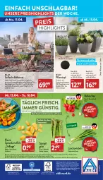 Gazetka promocyjna Aldi Nord - Aldi-Aktuell - Gazetka - ważna od 16.04 do 16.04.2022 - strona 42 - produkty: aldi, auto, Balkonset, dell, drucker, eis, elle, Engel, gin, kartoffel, kartoffeln, kerze, kunststoffgeflecht, leine, LG, magazin, Mode, papier, pflanze, pflanzen, Pflanztopf, radieschen, Reinigung, reis, rel, Ria, Schal, Schale, spargel, spargel grün, speisekartoffeln, Stühl, telefon, Ti, tisch, topf, ZTE, zwiebel, zwiebeln