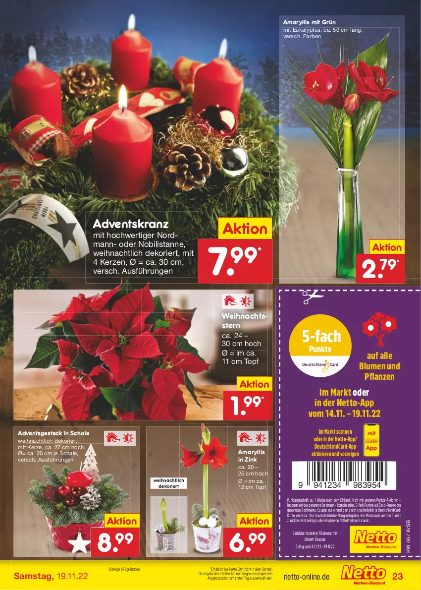 Aktueller Prospekt Netto Marken-Discount - Filial-Angebote - von 14.11 bis 19.11.2022 - strona 23 - produkty: Adventskranz, angebot, bestpreis, blume, blumen, Blumen und Pflanzen, coupon, deutschlandcard, discount, eis, erde, kerze, Kranz, marken-discount, pflanze, pflanzen, Rauch, reis, Schal, Schale, Ti, topf, Weihnachtsstern, ZTE