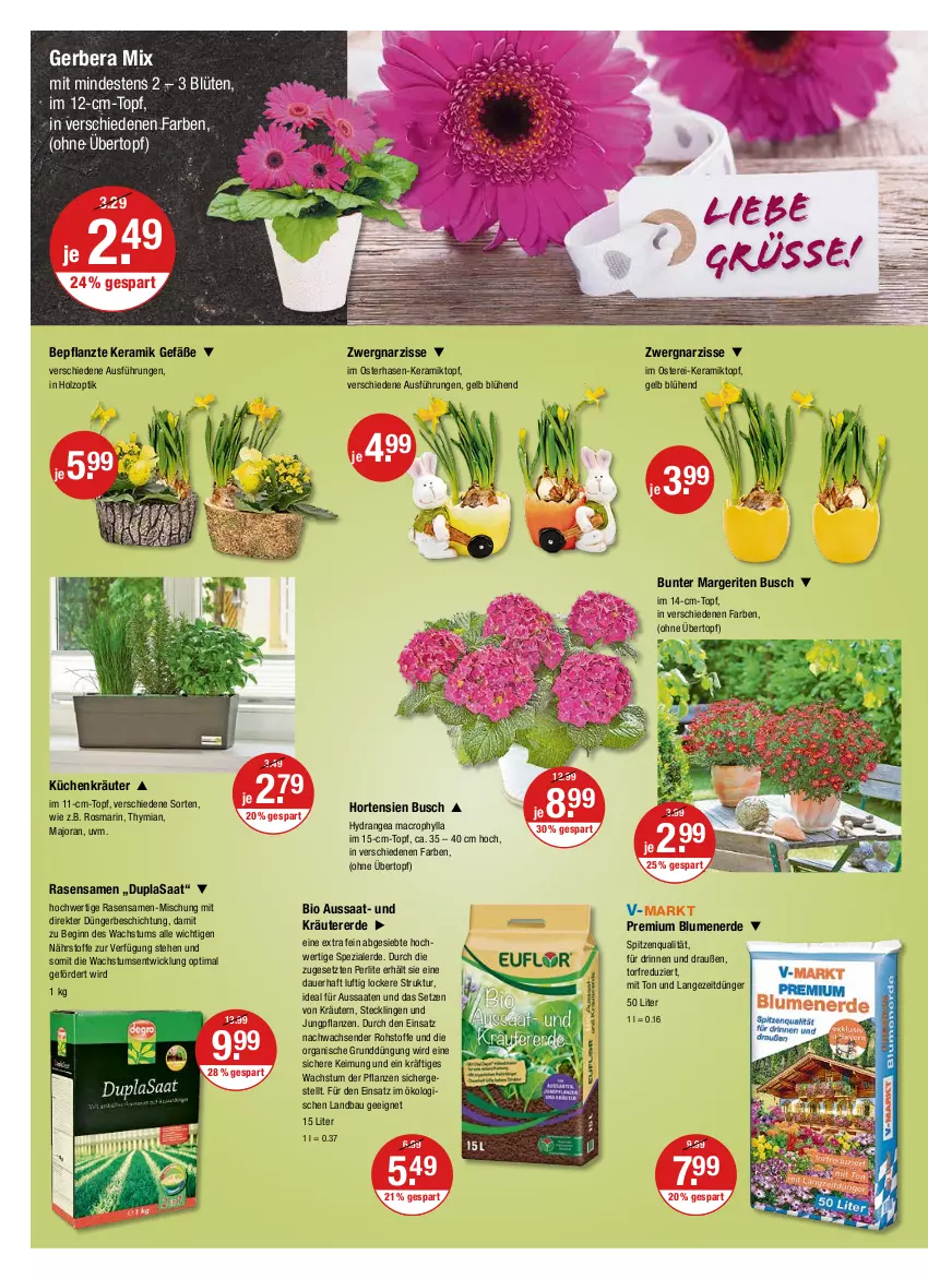 Aktueller Prospekt Vmarkt - V-Markt - von 07.04 bis 13.04.2022 - strona 24 - produkty: auer, Bau, bio, blume, blumen, blumenerde, Blüte, dünger, erde, Gerber, gin, Holz, hortensie, hortensien, hydrangea, hydrangea macrophylla, kräuter, kräutern, küche, Küchen, mac, pflanze, pflanzen, rasen, rasensamen, rosmarin, Spezi, spitzenqualität, Ti, topf, übertopf, WICK, ZTE