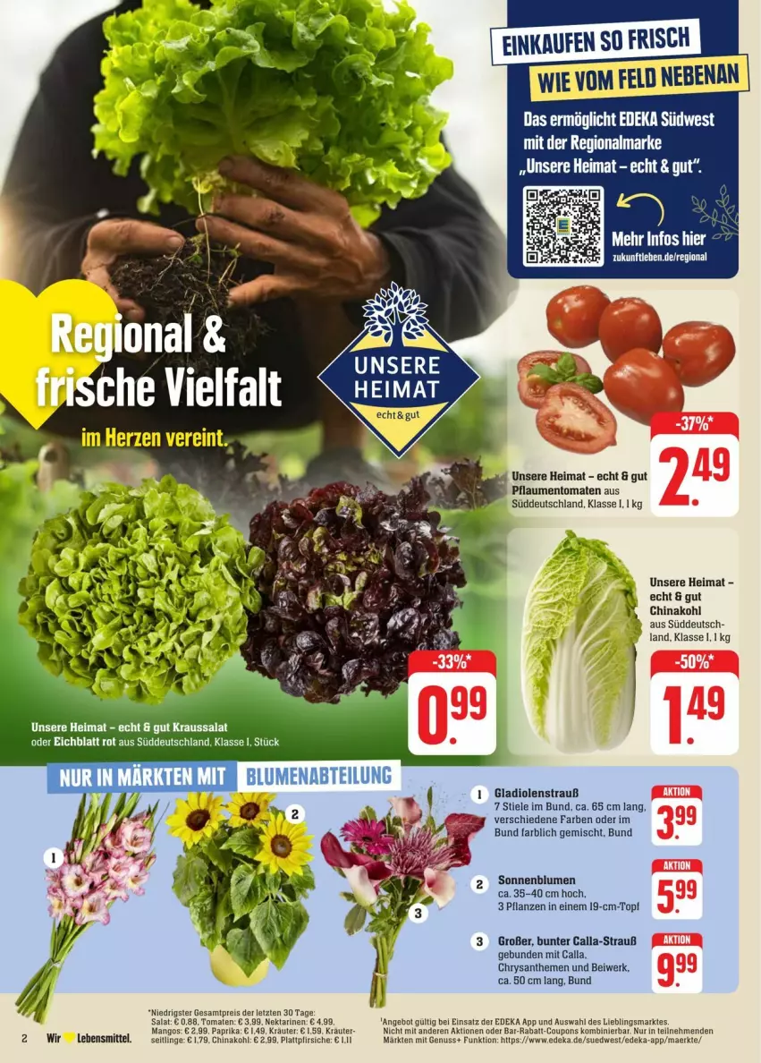 Aktueller Prospekt Edeka - Prospekte - von 13.07 bis 20.07.2024 - strona 4 - produkty: angebot, blume, blumen, chrysanthemen, coupon, coupons, deka, eis, Gladiolen, Kraussalat, kräuter, lebensmittel, mango, mangos, Nektar, nektarinen, nuss, paprika, pfirsich, pfirsiche, pflanze, pflanzen, pflaume, pflaumen, plattpfirsiche, rabatt-coupon, reis, salat, sonnenblume, sonnenblumen, südwest, Ti, tomate, tomaten, topf, ZTE