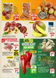 Gazetka promocyjna Edeka - Prospekte - Gazetka - ważna od 20.07 do 20.07.2024 - strona 5 - produkty: basilikum, beutel, bio, champignon, champignons, deka, eis, fleisch, grill, kräuter, Kräuterseitlinge, mango, mangos, möhren, Nektar, nektarinen, nektarinen oder, nuss, oder pfirsiche, paraguayos, petersilie, pfirsich, pfirsiche, plattpfirsiche, Schal, Schale, Ti, topf, Yo