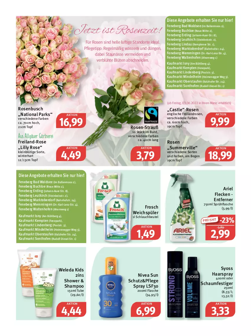 Aktueller Prospekt Feneberg - Prospekte - von 02.06 bis 04.06.2022 - strona 11 - produkty: angebot, angebote, ariel, auer, Bad, ball, beutel, Blüte, buch, chloe, Diesel, Egger, eis, elle, emmi, flasche, Frosch, haarspray, LG, nivea, nivea sun, oder schaumfestiger, Ofen, reis, rosen, schaumfestiger, schlauch, shampoo, sprühflasche, syoss, Ti, topf, weichspüler, weleda, Yo