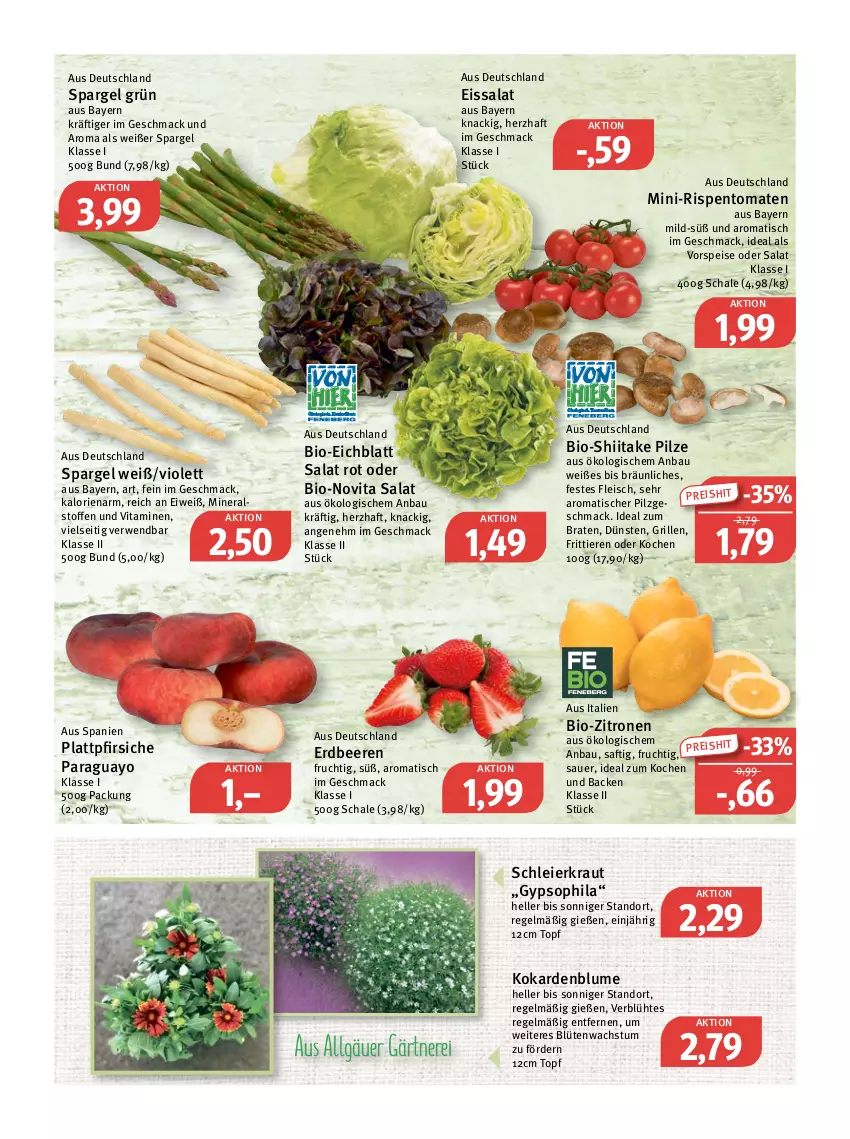 Aktueller Prospekt Feneberg - Prospekte - von 02.06 bis 04.06.2022 - strona 6 - produkty: auer, Bau, beere, beeren, bio, bio-zitronen, blume, Blüte, braten, eier, eis, elle, erdbeere, erdbeeren, fleisch, frucht, grill, Kraut, LG, mac, mini-rispentomaten, pfirsich, pfirsiche, pilze, plattpfirsiche, reis, rispentomaten, rwe, saft, salat, Schal, Schale, spargel, spargel grün, Ti, Tiere, tisch, tomate, tomaten, topf, vita, Vitamine, vorspeise, Yo, zitrone, zitronen