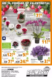 Gazetka promocyjna  - Prospekt für Globus Baumarkt  Achern - Gazetka - ważna od 12.02 do 12.02.2022 - strona 21 - produkty: Bau, blume, Blüte, Campanula, elle, globus fachmärkte, leonardo, mac, orchidee, orchideen, pflanze, phalaenopsis, rosen, severin, Spezi, telefon, Ti, topf, uhr, wein, whiskey, würfel