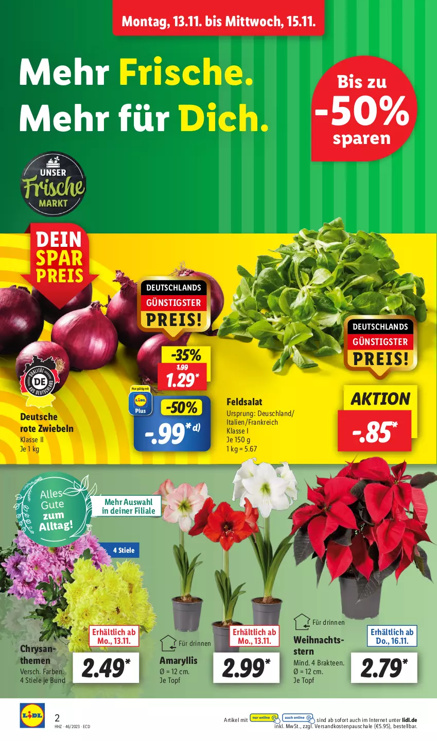 Aktueller Prospekt Lidl - Aktionsprospekt - von 13.11 bis 18.11.2023 - strona 2 - produkty: chrysanthemen, eis, feldsalat, ndk, reis, Rote Zwiebel, salat, Schal, Schale, tee, Ti, topf, Weihnachtsstern, zwiebel, zwiebeln