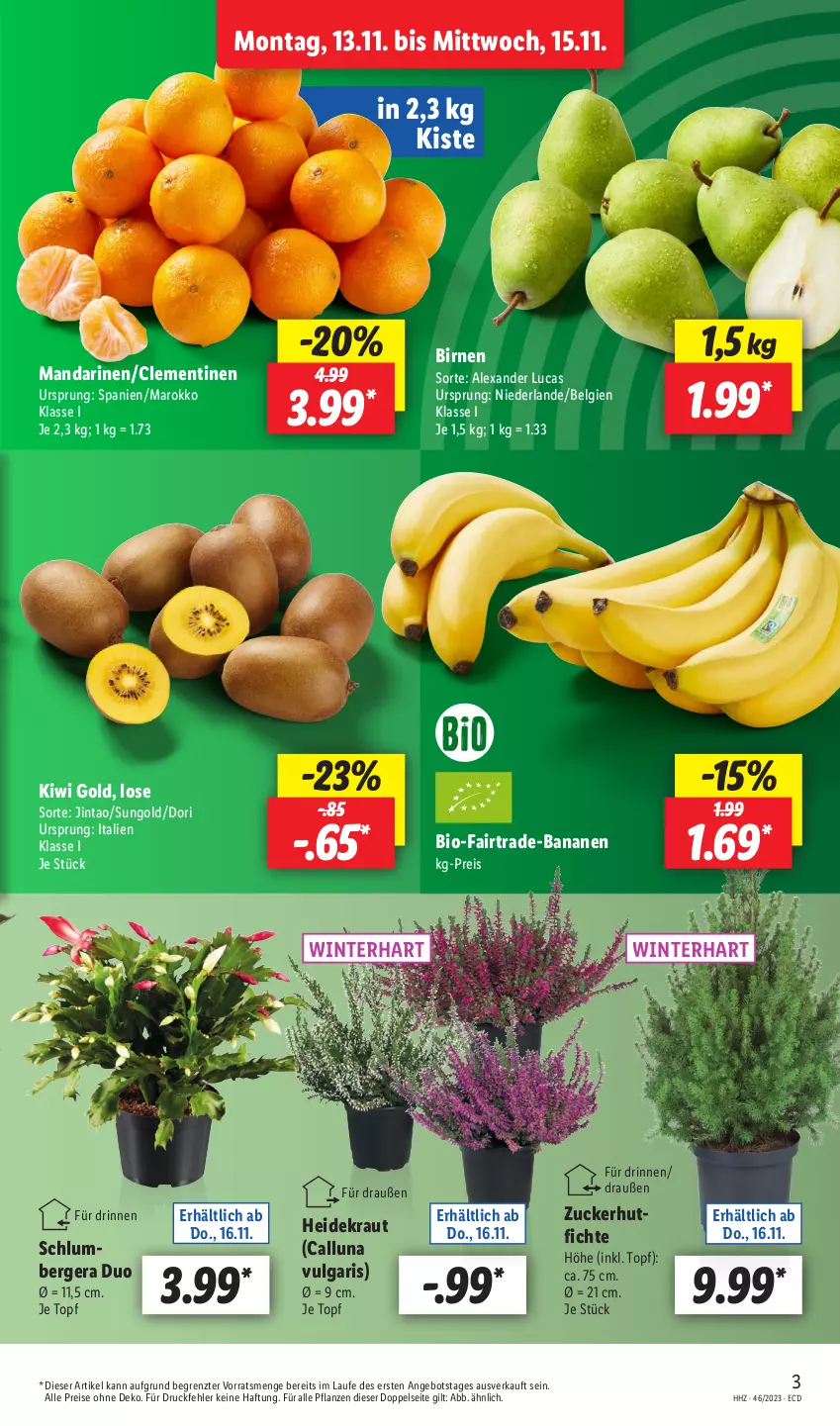 Aktueller Prospekt Lidl - Aktionsprospekt - von 13.11 bis 18.11.2023 - strona 3 - produkty: alexa, angebot, banane, bananen, Berger, bio, Birnen, clementinen, eis, Heidekraut, kiwi, Kiwi Gold, Kraut, LG, mandarine, mandarinen, pflanze, pflanzen, reis, Ti, topf, ZTE, zucker