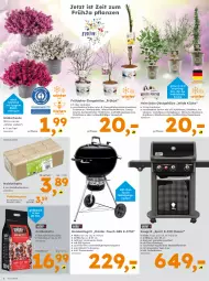 Gazetka promocyjna  - Gazetka - ważna od 17.02 do 17.02.2024 - strona 2 - produkty: apfel, auer, ball, beere, beutel, Blaubeer, blaubeere, Blüte, briketts, buch, Container, edelstahl, eis, elle, fleisch, flieder, gasgrill, grill, grillbriketts, grillfläche, grillrost, haselnuss, Holz, Holzbriketts, holzkohle, holzkohlegrill, honig, kirsch, kirsche, Kocher, Kohlegrill, küche, nuss, obst, Palette, pflanze, pflanzen, piezo-zündung, Reinigung, reis, sanddorn, thermometer, Ti, topf, Wild