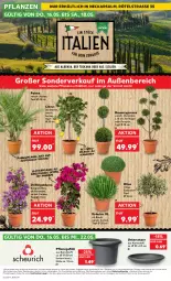 Gazetka promocyjna Kaufland - Extra-Angebote - Gazetka - ważna od 22.05 do 22.05.2024 - strona 8 - produkty: angebot, angebote, Bau, blume, citrus, erde, kräuter, Kugel, olive, pflanze, pflanzen, Ria, Ti, topf, Untersetzer, ZTE