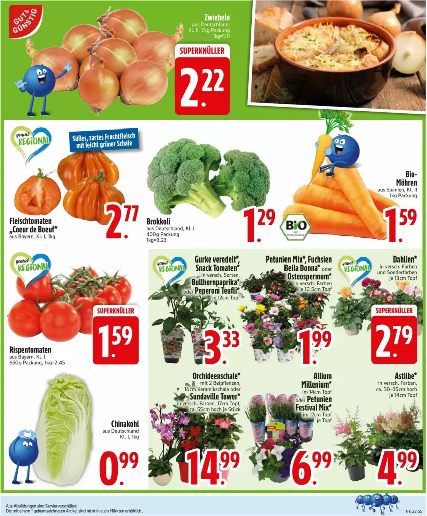 Aktueller Prospekt Edeka - Prospekte - von 26.05 bis 31.05.2025 - strona 7 - produkty: asti, bio, brokkoli, dahlie, eis, fleisch, frucht, fruchtfleisch, gurke, K2, möhren, orchidee, orchideen, paprika, petunie, petunien, pflanze, pflanzen, rispentomaten, Schal, Schale, snack, Ti, tomate, tomaten, topf