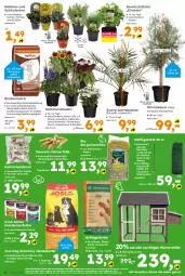 Gazetka promocyjna  - Gazetka - ważna od 20.06 do 20.06.2026 - strona 8 - produkty: Bau, beutel, bio, braun, dekoration, eis, elle, ente, Fulda, Garten, Gartendekoration, gewürz, Heu, hühner, Kaktee, korn, Kraut, kräuter, nassfutter, nerf, olive, oliven, oreo, rind, rindenmulch, ring, sac, sim, snack, stauden, Sukkulente, tee, Ti, tierbedarf, topf