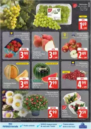 Gazetka promocyjna Edeka - Prospekte - Gazetka - ważna od 26.04 do 26.04.2025 - strona 5 - produkty: beere, beeren, Cap, coupon, coupons, deka, eis, erdbeere, erdbeeren, melone, payback, reis, tafeltrauben, Ti, topf, trauben, ZTE