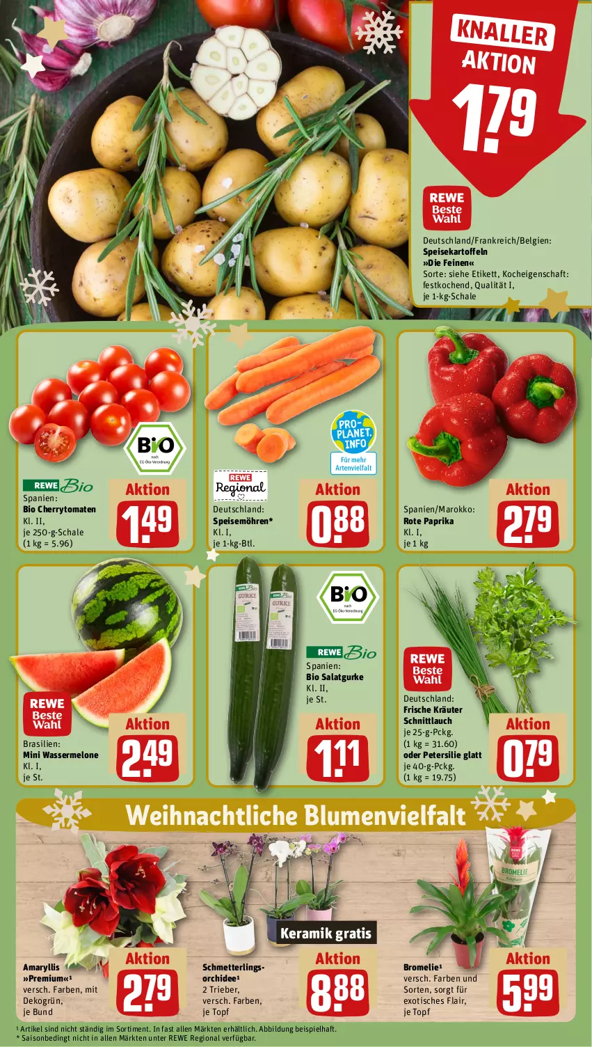 Aktueller Prospekt Rewe - Prospekte - von 18.12 bis 23.12.2023 - strona 9 - produkty: bio, blume, blumen, Bromelie, cherrytomaten, eis, gurke, kartoffel, kartoffeln, kräuter, LG, melone, Mett, möhren, orchidee, paprika, petersilie, salat, Salatgurke, Schal, Schale, Schmetterling, schnittlauch, speisekartoffeln, speisemöhren, Ti, tisch, tomate, tomaten, topf, wasser, wassermelone