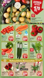 Gazetka promocyjna Rewe - Prospekte - Gazetka - ważna od 23.12 do 23.12.2023 - strona 9 - produkty: bio, blume, blumen, Bromelie, cherrytomaten, eis, gurke, kartoffel, kartoffeln, kräuter, LG, melone, Mett, möhren, orchidee, paprika, petersilie, salat, Salatgurke, Schal, Schale, Schmetterling, schnittlauch, speisekartoffeln, speisemöhren, Ti, tisch, tomate, tomaten, topf, wasser, wassermelone