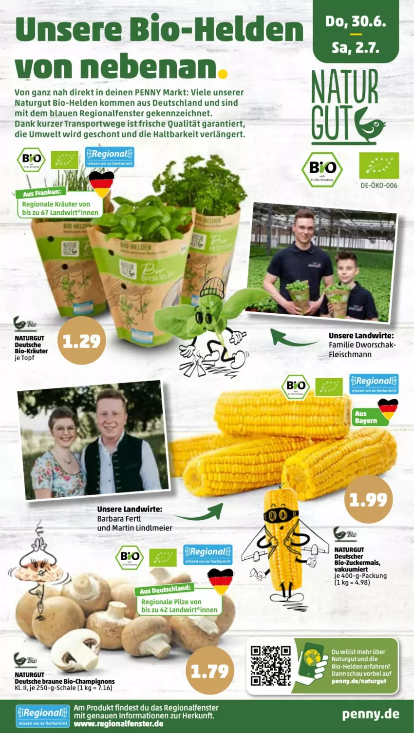 Aktueller Prospekt Penny - Prospekte - von 27.06 bis 02.07.2022 - strona 37 - produkty: bio, braun, champignon, champignons, eier, eis, fenster, fleisch, kräuter, LG, mais, natur, pilze, Schal, Schale, Sport, Ti, zucker, zuckermais