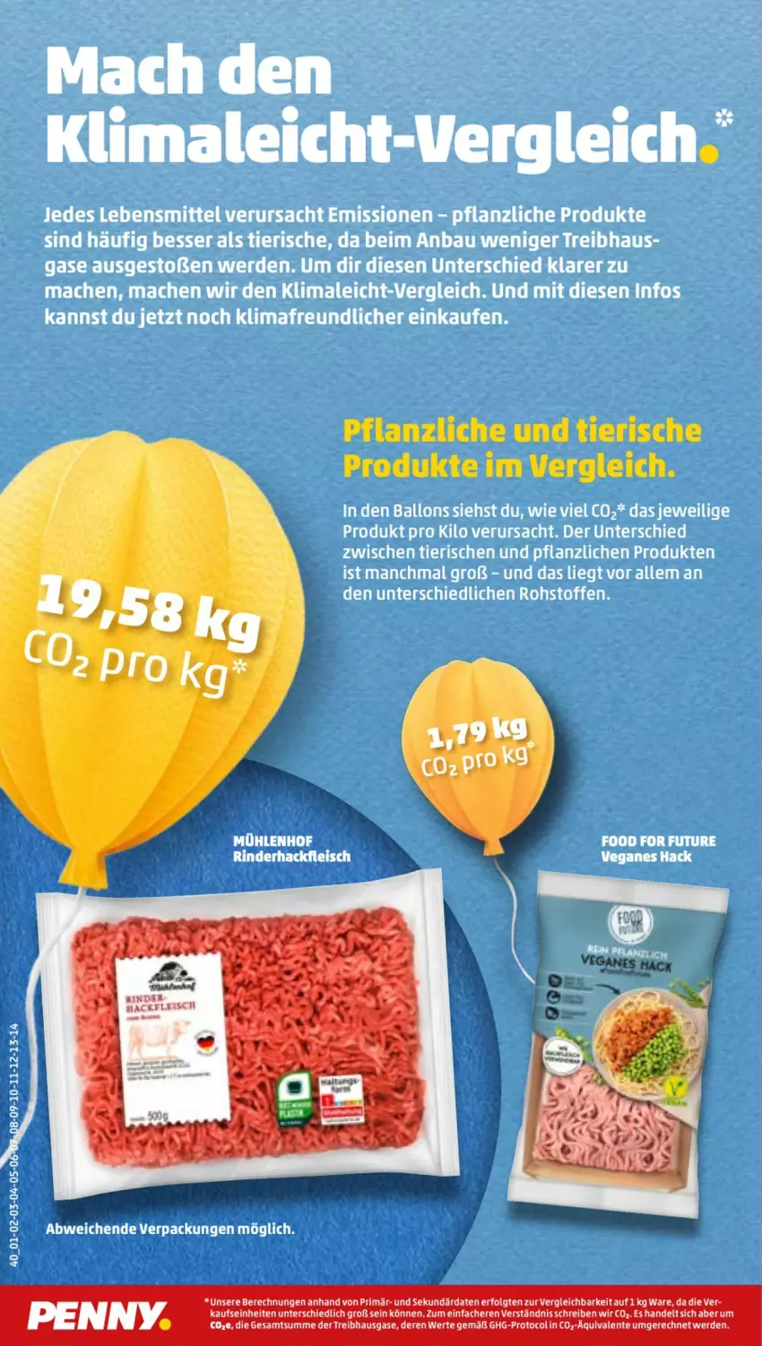 Aktueller Prospekt Penny - Prospekte - von 27.06 bis 02.07.2022 - strona 40 - produkty: ente, erde, LG, sac