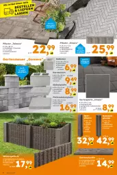 Gazetka promocyjna - Gazetka - ważna od 31.05 do 31.05.2025 - strona 6 - produkty: auer, braun, elle, Garten, Holz, ilag, Kugel, latte, LG, schirmständer, Ti