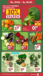 Gazetka promocyjna Aldi Nord - Von Montag - Gazetka - ważna od 02.03 do 02.03.2024 - strona 27 - produkty: aldi, angebot, aubergine, auer, beutel, bio, Blüte, Brei, brokkoli, eis, elle, gewürz, gin, kulturtopf, mandarine, mandarinen, möhren, pflanze, pflanzen, reis, Ria, rote bete, Ti, topf, tragegriff, trolli, übertopf, Vase, ZTE