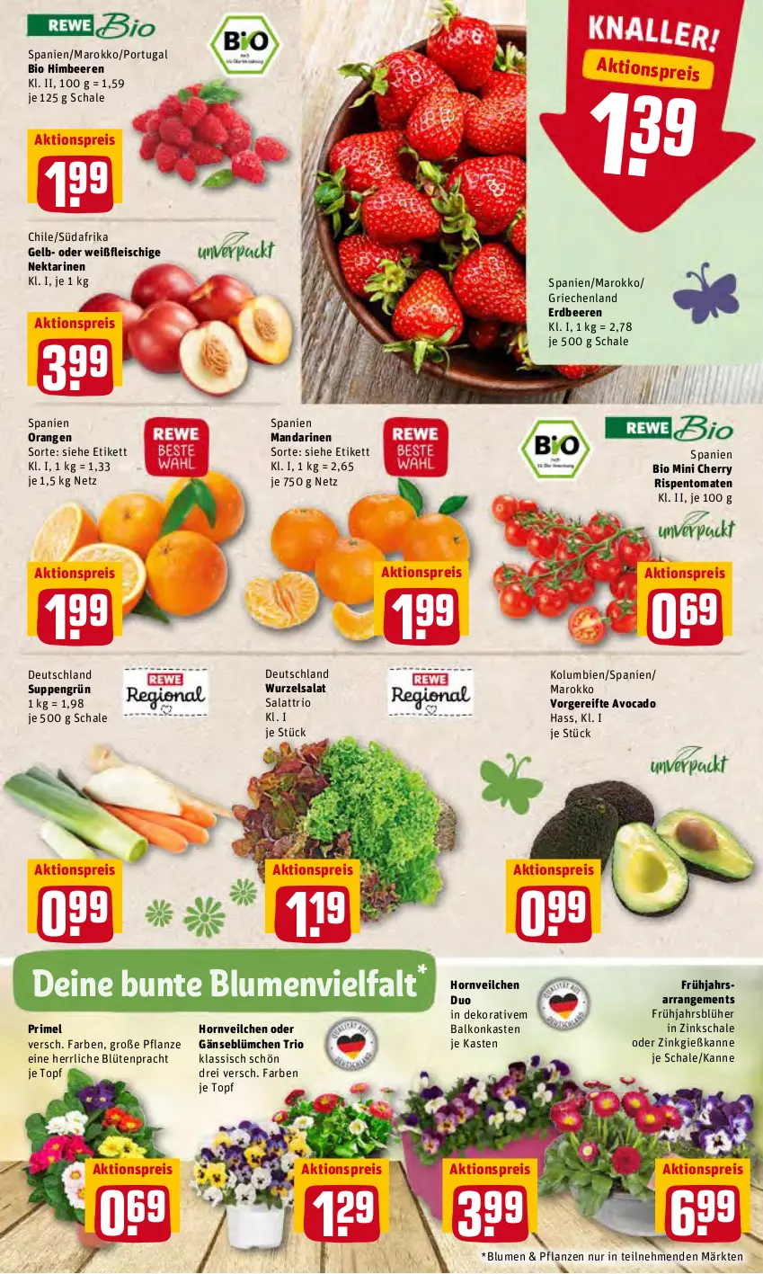 Aktueller Prospekt Rewe - Diese Woche im Angebot! - von 21.03 bis 26.03.2022 - strona 2 - produkty: aktionspreis, avocado, beere, beeren, bio, blume, blumen, Blüte, eis, erdbeere, erdbeeren, fleisch, Gießkanne, himbeer, himbeere, himbeeren, mandarine, mandarinen, Nektar, nektarinen, orange, orangen, pflanze, pflanzen, reis, rispentomaten, salat, Schal, Schale, suppe, suppen, Ti, tomate, tomaten, topf