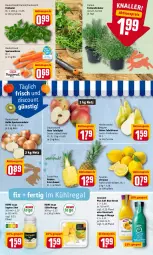 Gazetka promocyjna Rewe - Diese Woche im Angebot! - Gazetka - ważna od 26.03 do 26.03.2022 - strona 3 - produkty: aktionspreis, ananas, Birnen, direktsaft, discount, eis, feldsalat, freilandkräuter, ingwer, Innocent, kräuter, kühlregal, LG, mango, möhren, ndk, orange, regal, reis, rote tafeläpfel, saft, salat, Schal, Schale, speisemöhren, Speisezwiebeln, tafeläpfel, tafelbirnen, Ti, topf, zitrone, zitronen, zwiebel, zwiebeln