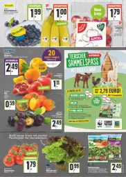 Gazetka promocyjna E Center - Angebote der Woche - Gazetka - ważna od 24.09 do 24.09.2022 - strona 3 - produkty: ball, banane, bananen, beere, beeren, beutel, cola, discount, eis, grana, Granatäpfel, Kaki, mandarine, mandarinen, pflaume, pflaumen, Rana, reis, rispentomaten, rucola, salat, Schal, Schale, tafeläpfel, Tasche, tee, Ti, tomate, tomaten, tragetasche