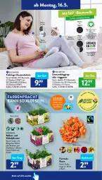 Gazetka promocyjna AldiSud - ALDI Aktuell - Gazetka - ważna od 21.05 do 21.05.2022 - strona 20 - produkty: aldi, Bau, baumwolle, blume, blumen, dahlie, dell, eier, eis, elle, gin, kübelpflanzen, leggings, Mode, Pants, pflanze, pflanzen, rosen, shirt, shirts, Ti, wolle