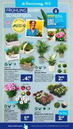 Gazetka promocyjna AldiSud - ALDI Aktuell - Gazetka - ważna od 21.05 do 21.05.2022 - strona 32 - produkty: aldi, auer, decke, dell, elle, Holz, hortensie, korb, kräuter, kulturtopf, Mode, oder kräuter, pflanze, pflanzen, Ti, tisch, topf, übertopf