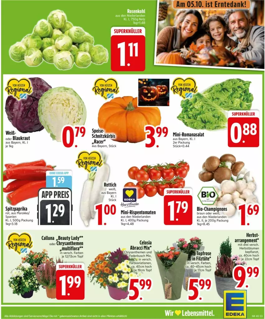 Aktueller Prospekt Edeka - Prospekte - von 29.09 bis 04.10.2025 - strona 3 - produkty: ACC, acer, blume, blumen, chrysanthemen, Kraut, Kürbis, paprika, paprika rot, Rettich, Ria, rispentomaten, Romanasalat, salat, Spitzpaprika, Ti, tomate, tomaten, topf