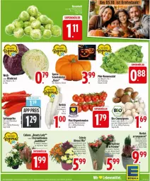 Gazetka promocyjna Edeka - Prospekte - Gazetka - ważna od 04.10 do 04.10.2025 - strona 3 - produkty: ACC, acer, blume, blumen, chrysanthemen, Kraut, Kürbis, paprika, paprika rot, Rettich, Ria, rispentomaten, Romanasalat, salat, Spitzpaprika, Ti, tomate, tomaten, topf