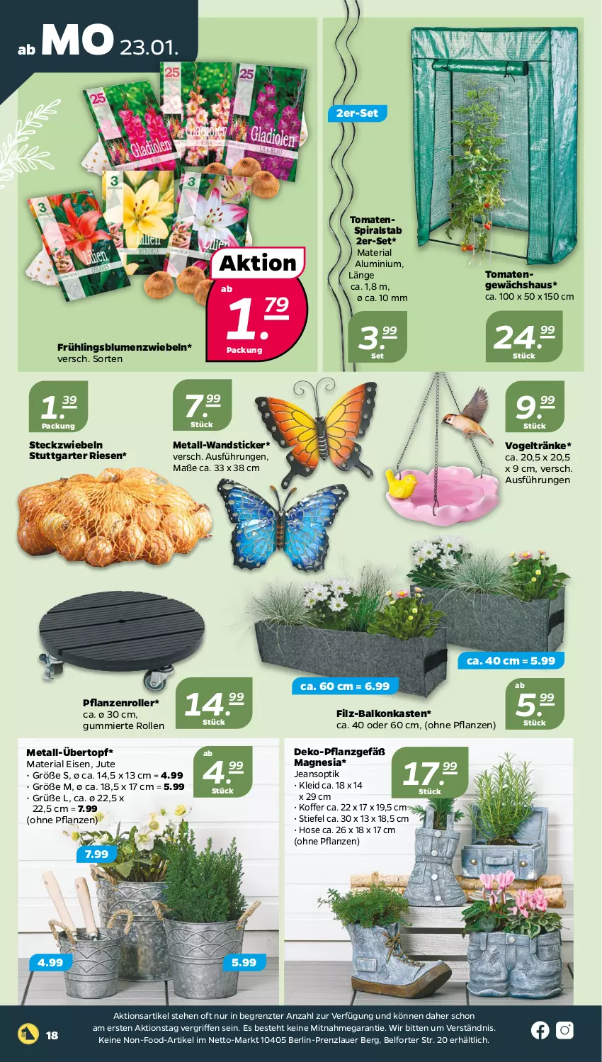 Aktueller Prospekt Netto - Woche 4 - von 23.01 bis 28.01.2023 - strona 18 - produkty: auer, blume, blumen, eis, Gewächshaus, hose, jeans, kleid, koffer, pflanze, pflanzen, Ria, Roller, Ti, tomate, tomaten, topf, übertopf, ZTE, zwiebel, zwiebeln