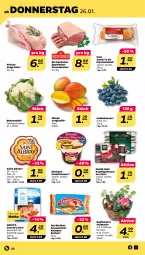 Gazetka promocyjna Netto - Woche 4 - Gazetka - ważna od 28.01 do 28.01.2023 - strona 22 - produkty: albray, beere, beeren, berliner, blume, blumen, blumenkohl, braten, brot, dessert, ehrmann, Ehrmann Grand Dessert, ente, Graved Lachs, heidelbeere, heidelbeeren, Holz, Knackige Mousse, korb, lachs, mango, mousse, nestlé, Rostocker, saint albray, sauce, senf, snack, steak, Ti, ZTE