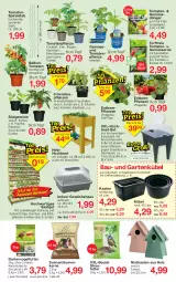 Gazetka promocyjna Jawoll - Prospekte - Gazetka - ważna od 22.04 do 22.04.2023 - strona 12 - produkty: ball, Bau, beutel, blume, blumen, blumenkohl, cocktail, dünger, eier, eis, Erdbeerpflanze, erde, fenster, fleisch, frucht, Garten, Gemüsedünger, Gemüseerde, Gewächshaus, gurke, gurken, Holz, HP, kohlrabi, kopfsalat, kräuter, Laufen, paprika, peperoni, Peroni, pflanze, pflanzen, Ria, sac, salat, Schal, Schale, sonnenblume, sonnenblumen, Sonnenblumenkerne, Spezi, Streufutter, Ti, tomate, tomaten, topf, Vogelfutter, wasser, zucchini