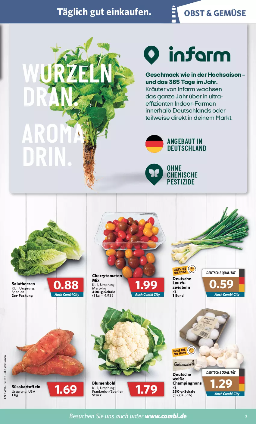 Aktueller Prospekt Combi - Prospekte - von 04.04 bis 09.04.2022 - strona 3 - produkty: Bau, blume, blumen, blumenkohl, cherrytomaten, eis, ente, kartoffel, kartoffeln, kräuter, mac, obst, salat, salatherzen, Schal, Schale, Ti, tomate, tomaten, zwiebel, zwiebeln