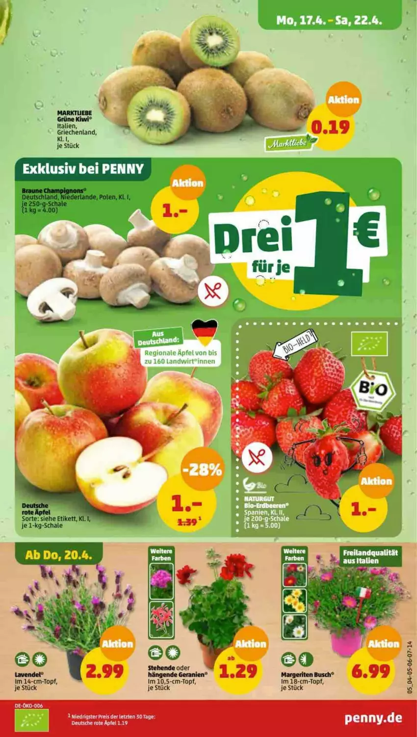 Aktueller Prospekt Penny - Prospekte - von 17.04 bis 22.04.2023 - strona 5 - produkty: eis, geranie, geranien, kiwi, lavendel, reis, Schal, Schale, Ti, topf, ZTE