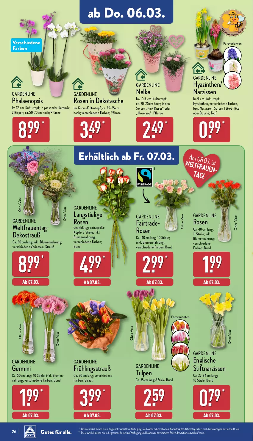 Aktueller Prospekt Aldi Nord - Von Montag - von 03.03 bis 08.03.2025 - strona 28 - produkty: blume, blumen, Blüte, Brei, Germ, gin, kulturtopf, Narzissen, pflanze, phalaenopsis, Ria, rosen, Tasche, Ti, topf, Vase, Yo, ZTE