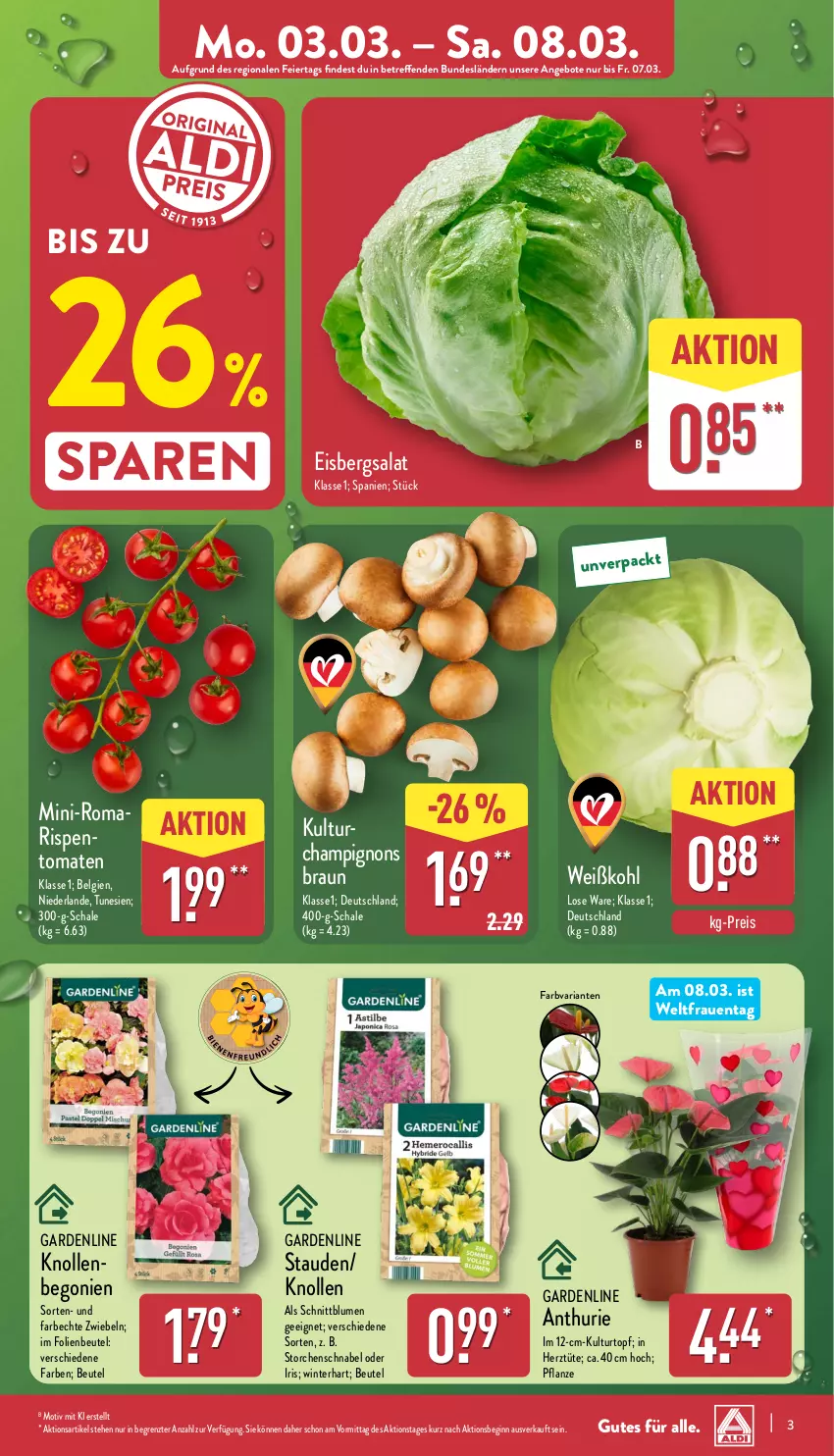 Aktueller Prospekt Aldi Nord - Von Montag - von 03.03 bis 08.03.2025 - strona 3 - produkty: angebot, angebote, Begonie, beutel, blume, blumen, Blüte, braun, Brei, champignon, champignons, champignons braun, eier, eis, eisbergsalat, gin, kulturtopf, LG, pflanze, reis, Ria, salat, Schal, Schale, stauden, Ti, tomate, tomaten, topf, Tüte, Weißkohl, ZTE, zwiebel, zwiebeln