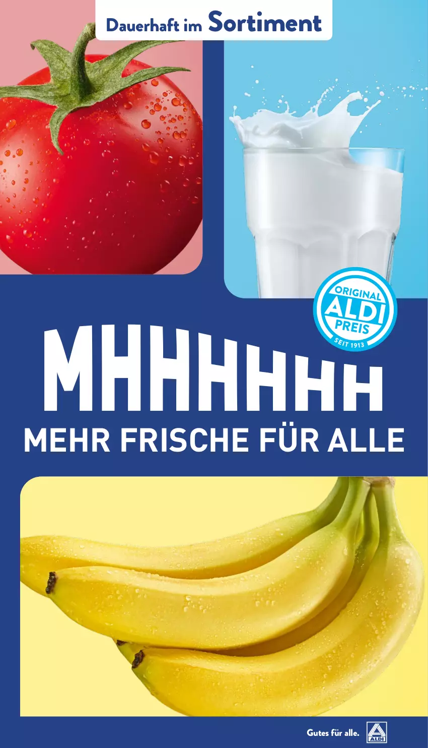 Aktueller Prospekt Aldi Nord - Von Montag - von 03.03 bis 08.03.2025 - strona 41 - produkty: auer, Ti