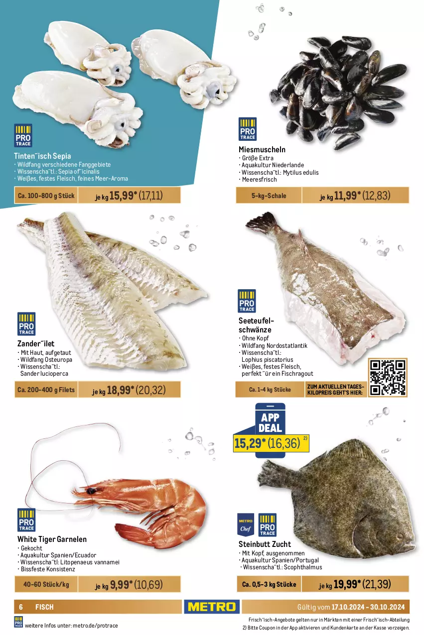 Aktueller Prospekt Metro - GastroJournal - von 17.10 bis 30.10.2024 - strona 6 - produkty: Abtei, angebot, angebote, aqua, beutel, cin, coupon, eier, eis, elle, filet, filets, fisch, fische, Fischer, fischstäbchen, fleisch, garnelen, lachs, matjes, Metro, Muscheln, Pangasius, Ragout, Räucherlachs, reis, salz, Schal, Schale, Schere, Ti, Wild, Zander