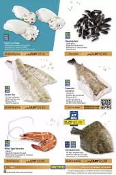 Gazetka promocyjna Metro - GastroJournal - Gazetka - ważna od 30.10 do 30.10.2024 - strona 6 - produkty: Abtei, angebot, angebote, aqua, beutel, cin, coupon, eier, eis, elle, filet, filets, fisch, fische, Fischer, fischstäbchen, fleisch, garnelen, lachs, matjes, Metro, Muscheln, Pangasius, Ragout, Räucherlachs, reis, salz, Schal, Schale, Schere, Ti, Wild, Zander