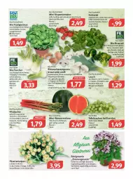 Gazetka promocyjna Feneberg - Prospekte - Gazetka - ważna od 23.04 do 23.04.2022 - strona 6 - produkty: Bau, bio, braten, braun, broccoli, champignon, champignons, champignons braun, eintöpfe, eis, elle, ente, feldsalat, fenchel, fleisch, frucht, fruchtfleisch, Geflügel, geranie, gewürz, grill, ilag, konfitüre, kuchen, LG, mac, melone, nuss, orange, pastete, reis, rhabarber, rispentomaten, rosmarin, rwe, saft, salat, salate, saro, sauce, saucen, Schal, Schale, suppe, suppen, tafeltrauben, Ti, tisch, tomate, tomaten, topf, trauben, Vase, wasser, wassermelone