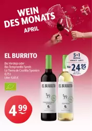 Gazetka promocyjna Getraenke Hoffmann - Prospekte - Gazetka - ważna od 25.04 do 25.04.2026 - strona 10 - produkty: asti, bio, erde, pril, tempranillo, Ti