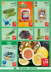 Gazetka promocyjna Marktkauf - Prospekt - Gazetka - ważna od 21.02 do 21.02.2026 - strona 7 - produkty: besteck, besteck-set, braun, champignon, champignons, champignons braun, deka, dressing, eis, elle, gurke, gurken, honig, Honigpomelo, kopfsalat, Lauchzwiebel, lauchzwiebeln, lunchbox, mikrowelle, mini-gurken, pflaume, pflaumen, Pomelo, reis, salat, spargel, spargel grün, Ti, tomate, tomaten, topf, ZTE, zwiebel, zwiebeln