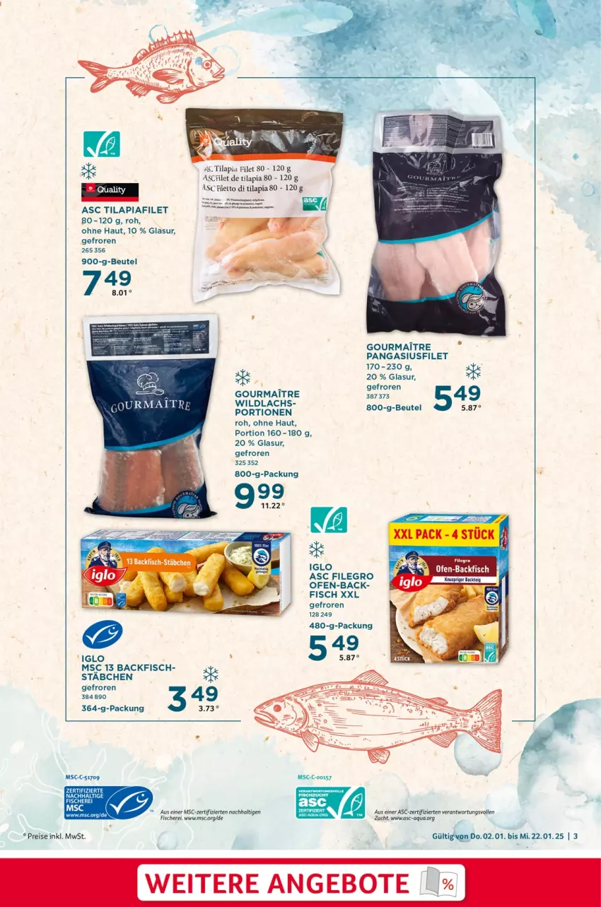 Aktueller Prospekt Selgros - Nachhaltigkeit - von 02.01 bis 22.01.2025 - strona 3 - produkty: angebot, angebote, aqua, backfisch, beutel, eis, filegro, filet, fisch, fische, Fischer, iglo, LG, Ofen, ofen-backfisch, Pangasius, reis, Schere, Ti, Tilapia