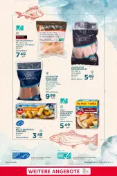 Gazetka promocyjna Selgros - Nachhaltigkeit - Gazetka - ważna od 22.01 do 22.01.2025 - strona 3 - produkty: angebot, angebote, aqua, backfisch, beutel, eis, filegro, filet, fisch, fische, Fischer, iglo, LG, Ofen, ofen-backfisch, Pangasius, reis, Schere, Ti, Tilapia