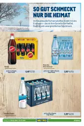Gazetka promocyjna Metro - Regionaler Adresseinleger - Gazetka - ważna od 21.02 do 21.02.2024 - strona 21 - produkty: Alwa, flasche, getränk, getränke, mac, mineralwasser, Palette, sinalco, Ti, wasser