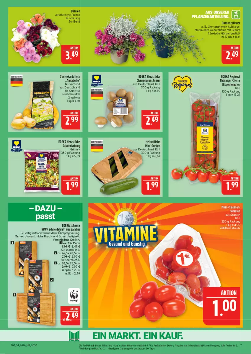 Aktueller Prospekt Marktkauf - Prospekt - von 16.08 bis 22.08.2026 - strona 7 - produkty: bambus, braun, champignon, champignons, champignons braun, chrysanthemen, dahlie, deka, eis, elle, feinschmecker, grill, gurke, gurken, kartoffel, kartoffeln, messer, mini-gurken, pflaume, pflaumen, reis, ring, rispentomaten, salat, speisekartoffeln, Ti, tomate, tomaten, topf, ZTE