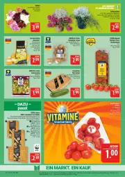 Gazetka promocyjna Marktkauf - Prospekt - Gazetka - ważna od 22.08 do 22.08.2026 - strona 7 - produkty: bambus, braun, champignon, champignons, champignons braun, chrysanthemen, dahlie, deka, eis, elle, feinschmecker, grill, gurke, gurken, kartoffel, kartoffeln, messer, mini-gurken, pflaume, pflaumen, reis, ring, rispentomaten, salat, speisekartoffeln, Ti, tomate, tomaten, topf, ZTE