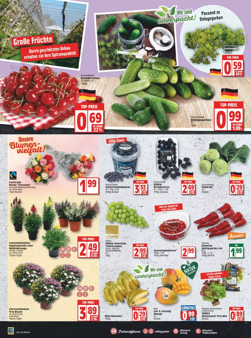 Aktueller Prospekt Edeka - Angebote der Woche - von 26.07 bis 31.07.2021 - strona 8